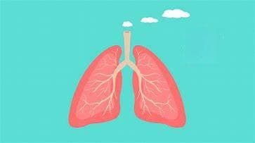 健身与呼吸法：正确呼吸提升运动效率，增强心肺功能