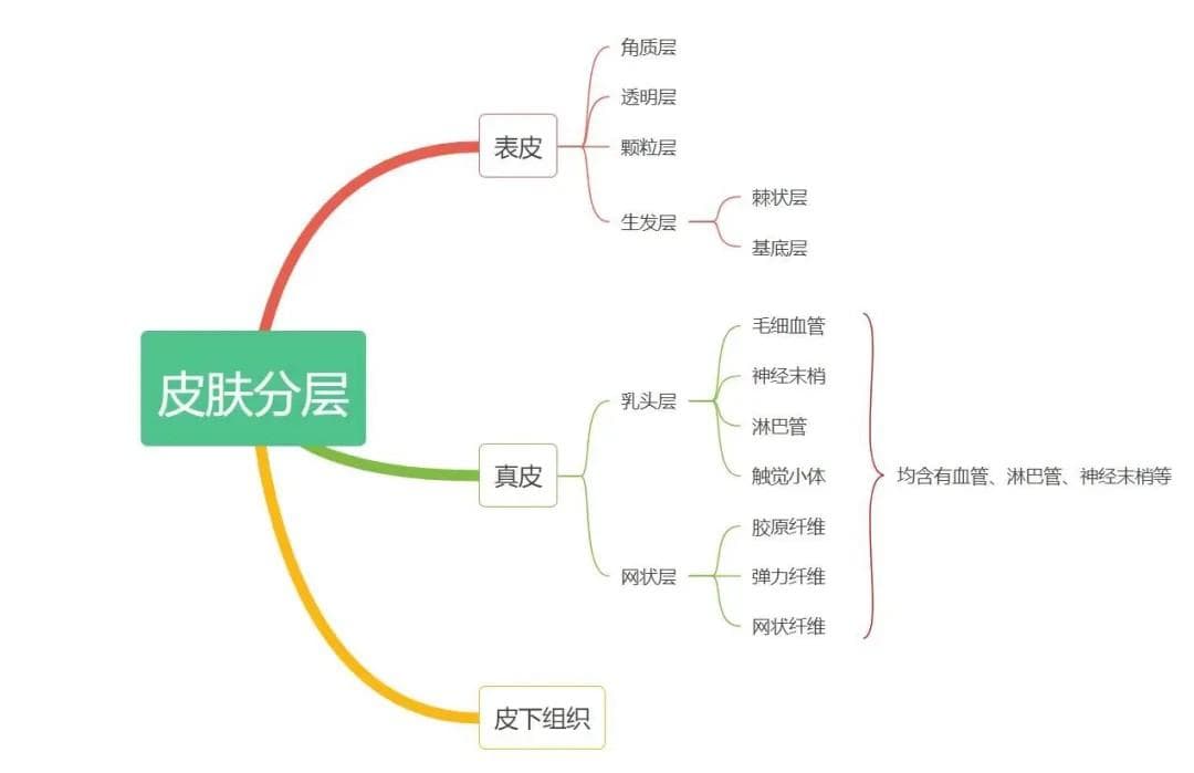 那些纹美瞳线的人，现在都怎么样了？