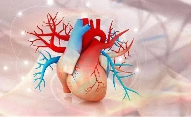 心脏突然“抽痛”一下？这几个症状，是死亡靠近的信号