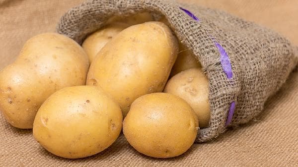 土豆食物中毒的症状、原因及预防措施