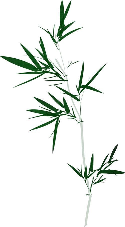 液门穴：解锁你的活力密码