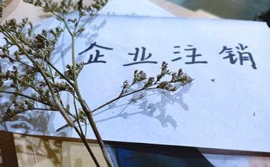 企业注销 · 办事直通车