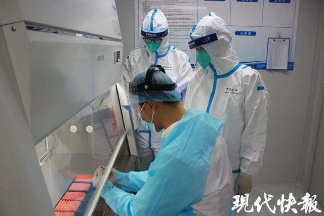 1—10月南京外贸进出口4478亿元！海关多措并举促进外贸质升量稳