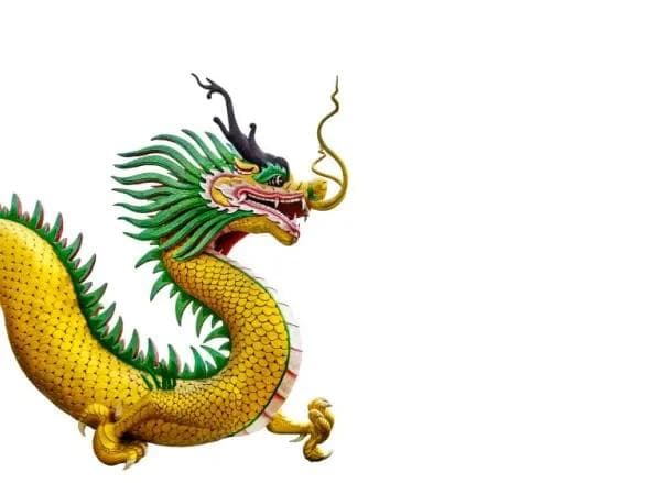 属相匹配五行规律：生肖与元素对照表解析