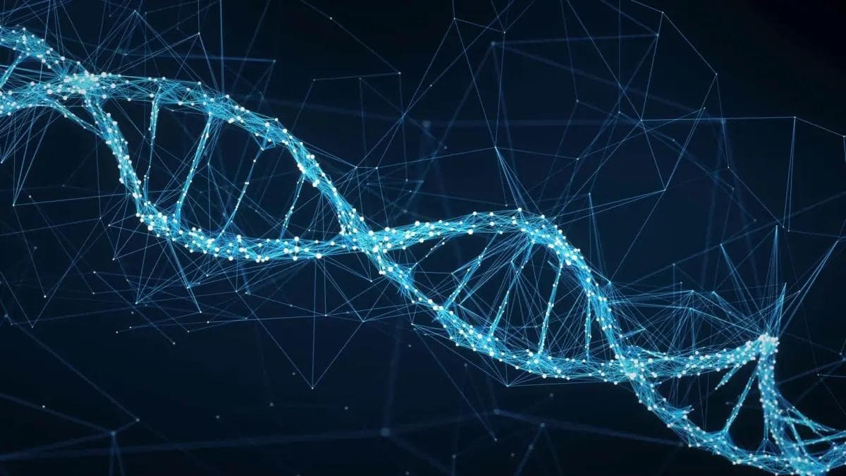 分子人类学揭示：西藏各民族从哪里来的？谁先到达高原？