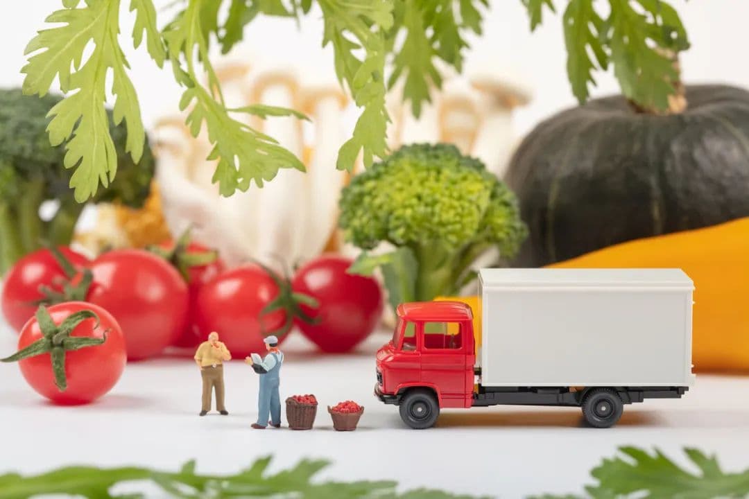 食品安全问题祸及全球十分之一人口，漏洞出在哪里？
