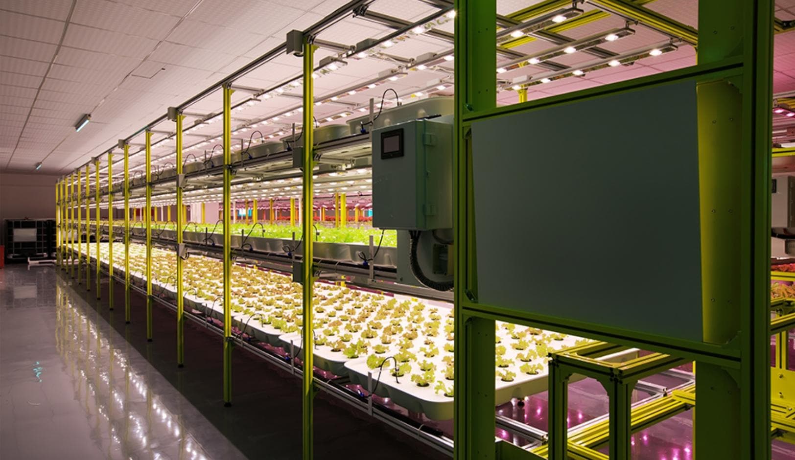 在植物工厂中，如何通过技术创新实现水资源的节约和循环利用？