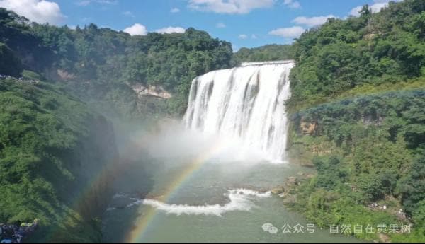 黄果树旅游区：用好“特意性”资源 聚焦旅游产业发展 全力建设世界级旅游景区