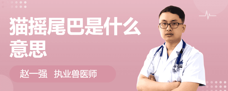 猫摇尾巴是什么意思