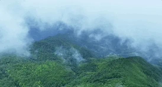 深山中什么样？擅自进山有多危险？有关哀牢山的疑问这篇都回答了