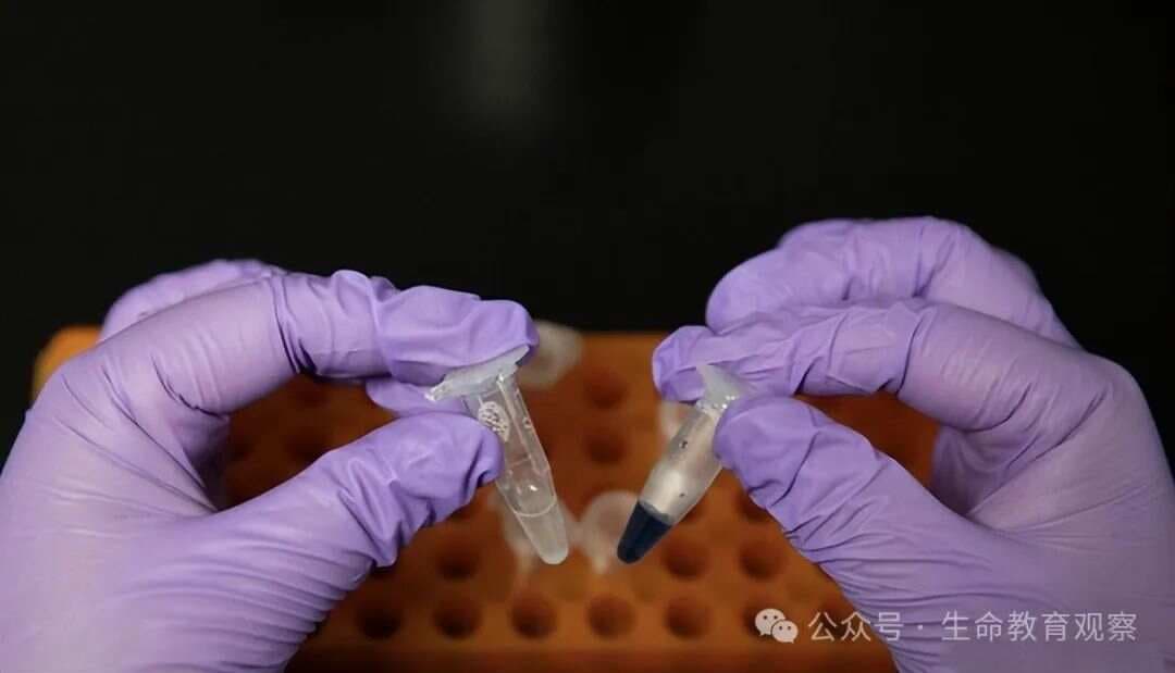 “二氧化碳转淀粉项目”成就不亚于人类登月