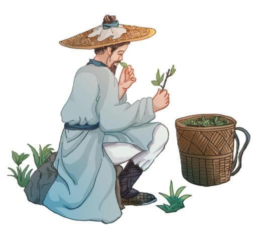 【健康科普】中医药文化知识宣传