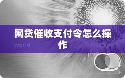 网贷支付令怎么操作