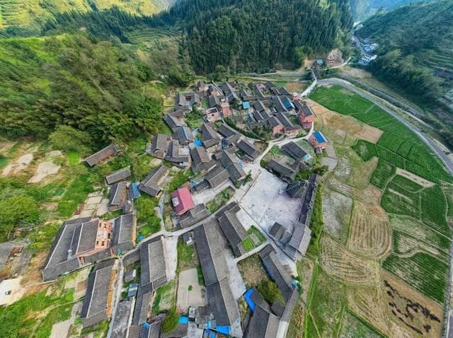 年轻人“远离”农村：种地不再魅力何在？
