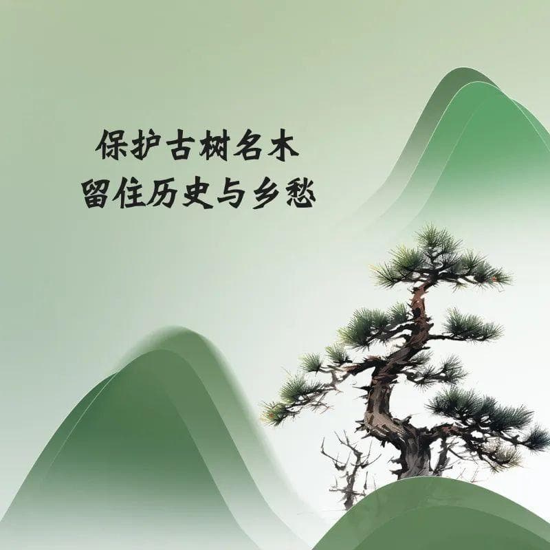 保护古树名木 留住历史与乡愁