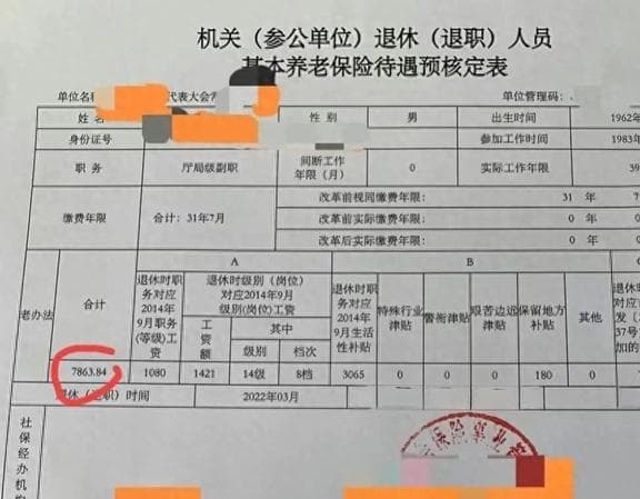 实例解析：正高级职称四级教授与副厅级公务员，谁的养老金会高些