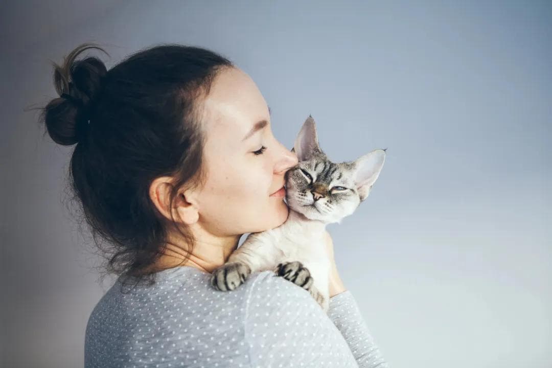 关于猫咪腹泻：常见问题解答与护理技巧
