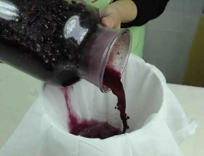 葡萄酒自酿方法详解：从选材到酿制全流程指南