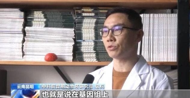 中国科学家构建世界最高分辨率大脑三维基因组图谱，揭示人类大脑进化机制