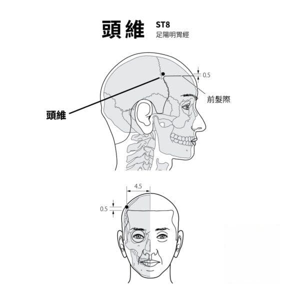 天冷頭痛按摩哪些穴道？掌握頭維穴、風池穴、太陽穴精準位置，有效舒緩頭痛！