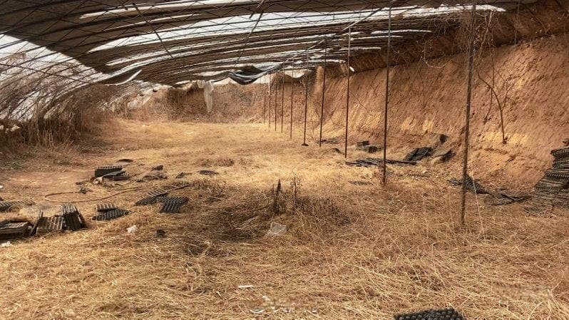 河北肥乡区初中生被同班同学杀害，涉案者已被抓获