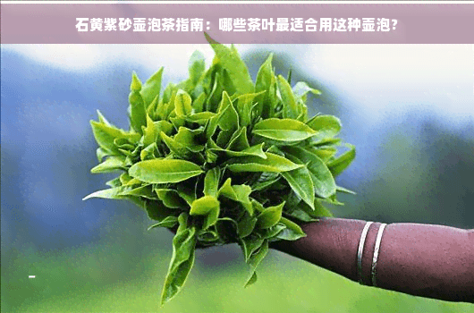 石黄紫砂壶泡茶指南：哪些茶叶最适合用这种壶泡？
