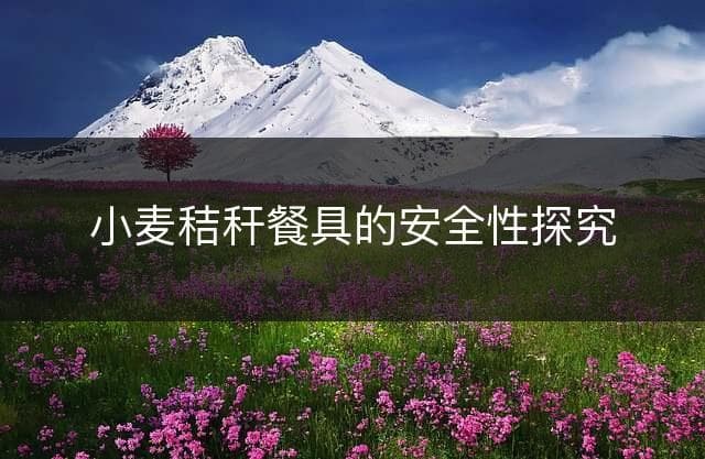 小麦秸秆餐具的安全性探究