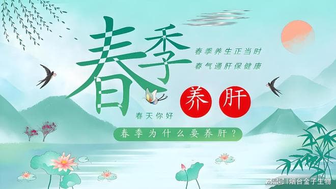 春季养肝护肝：中医药食同源的智慧之道