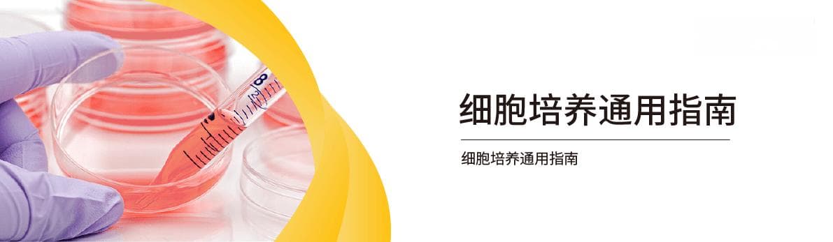 细胞培养通用指南