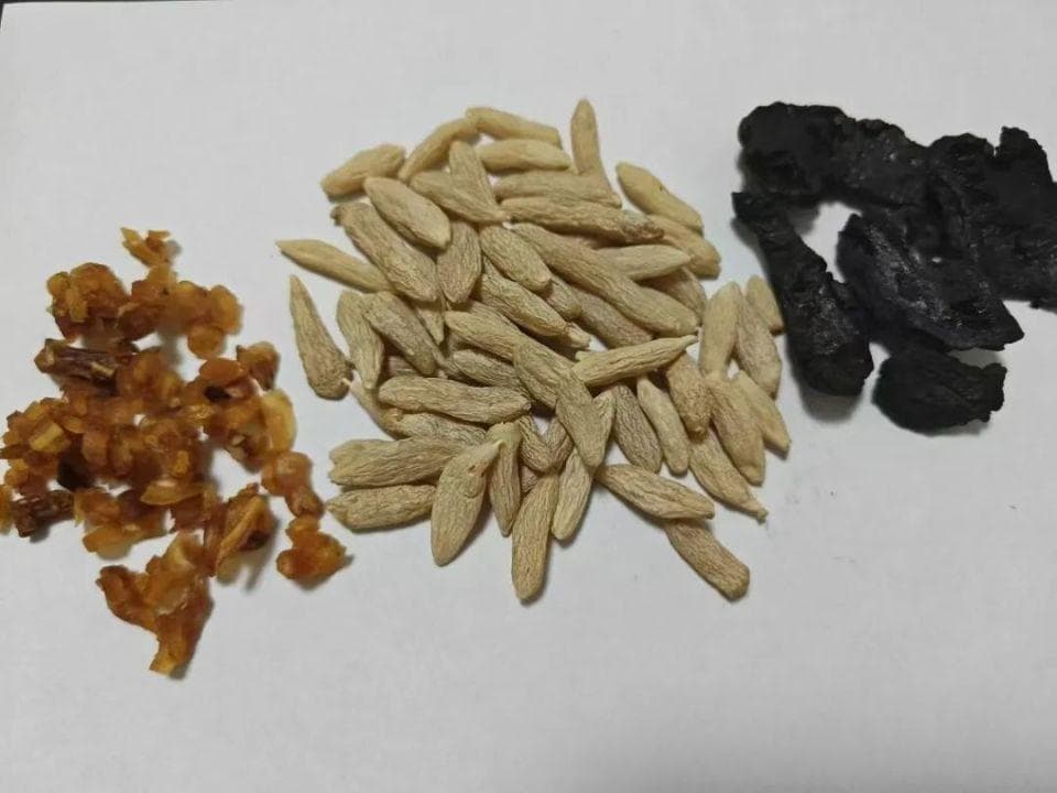 “药食同源”再增4种！水里泡一泡，清肺利咽、止咳化痰