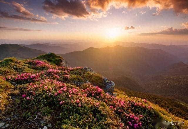 江西瑞金旅游必去十大景点