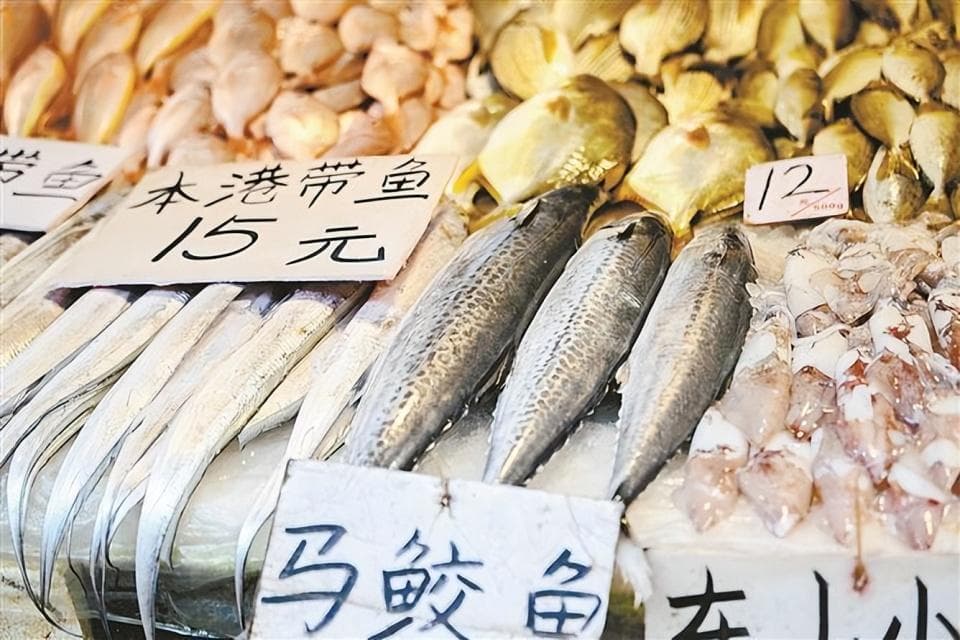 “春鱼”怎么选、怎么吃？吃海达人教您挑选