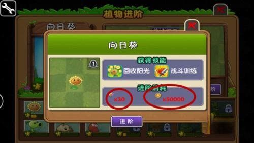 《植物大战僵尸2》五阶向日葵强度解析：阳光生产速度影响因素探究