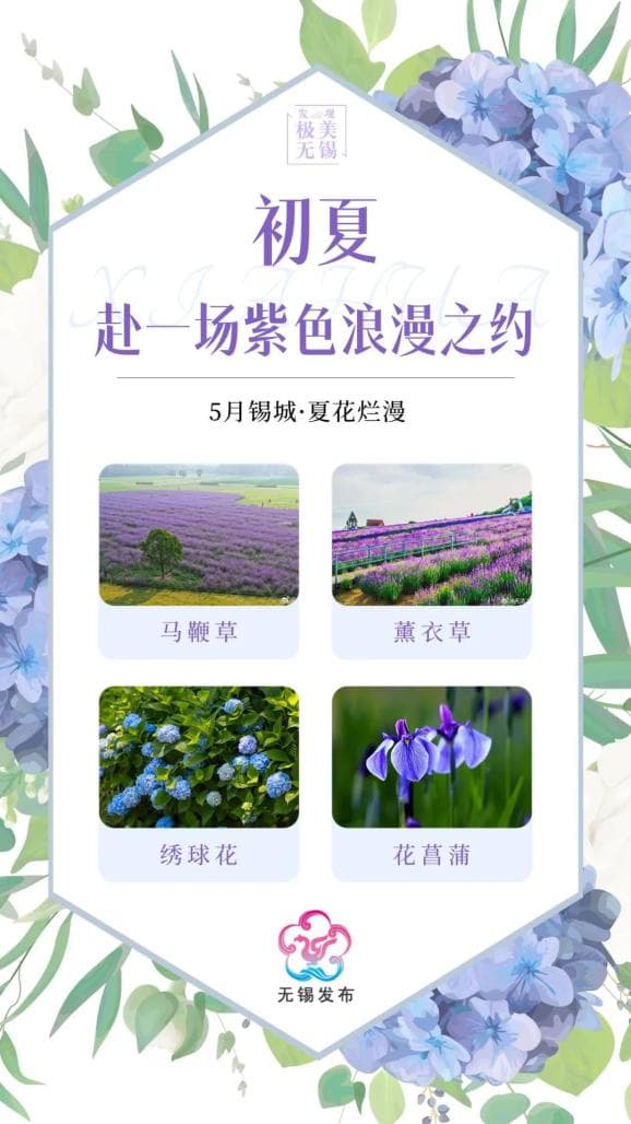 最近的无锡：紫色的山，紫色的海！