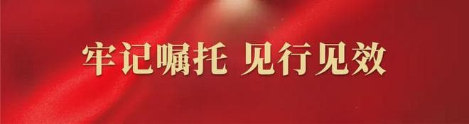 重要节点！轨道交通Z2线与B1线在滨海西站成功并网贯通