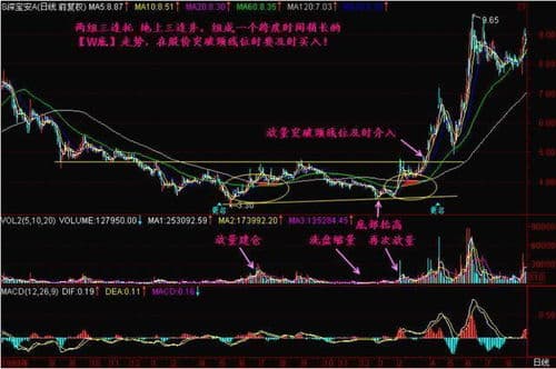 如何慧眼识珠,捕捉潜力股？
