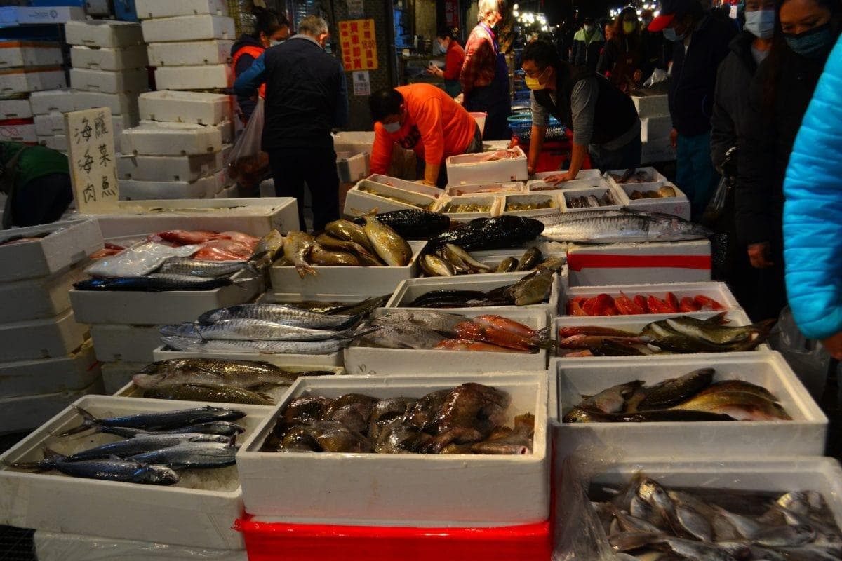 崁仔頂魚市怎麼買：解析 11 種常見魚類及烹調小秘訣