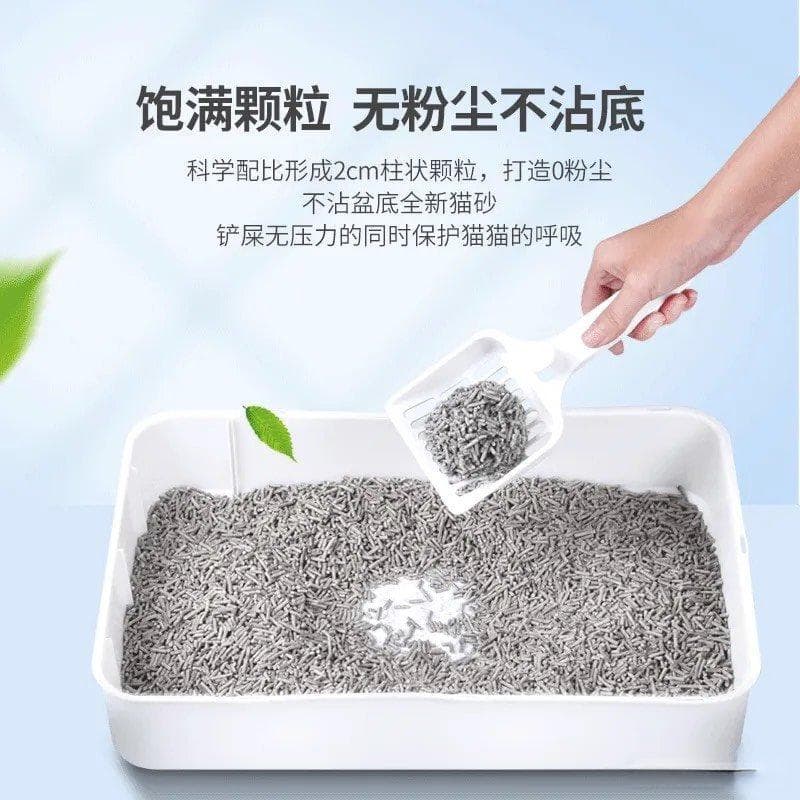 养猫新手必看！猫砂选购指南