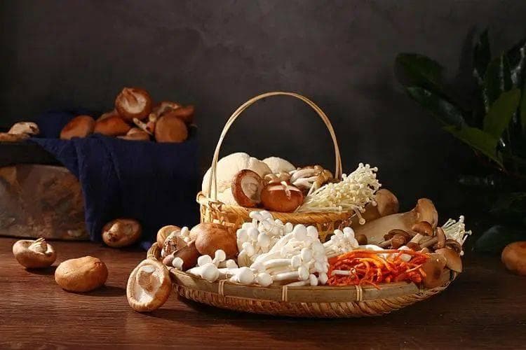 从香菇到金针菇：常见菌菇的养生功效与食用指南