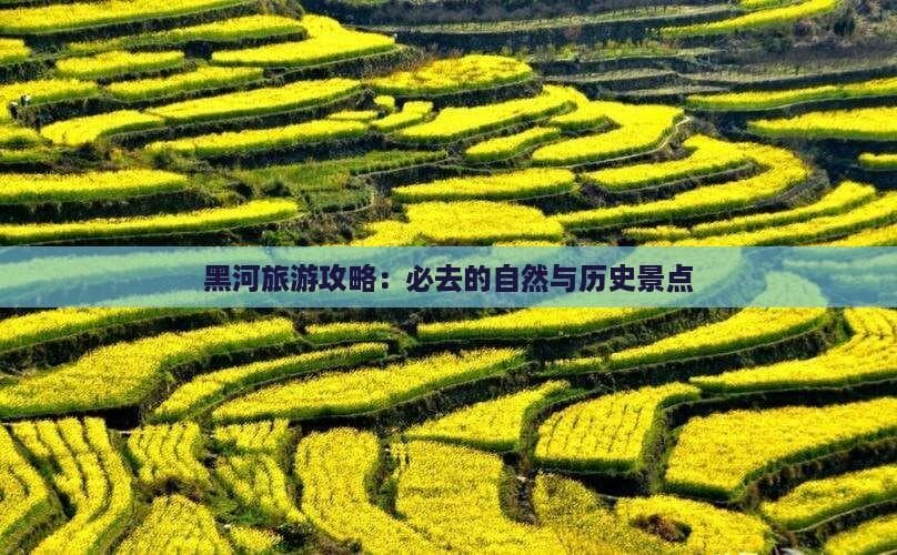 黑河旅游攻略：必去的自然与历史景点