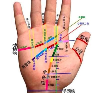 男士手相怎么看