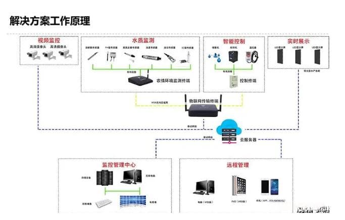 智慧渔业：现代科技在渔业中的应用与实践