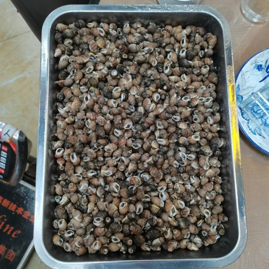 潜伏期最短5分钟！吃1只就可能致命