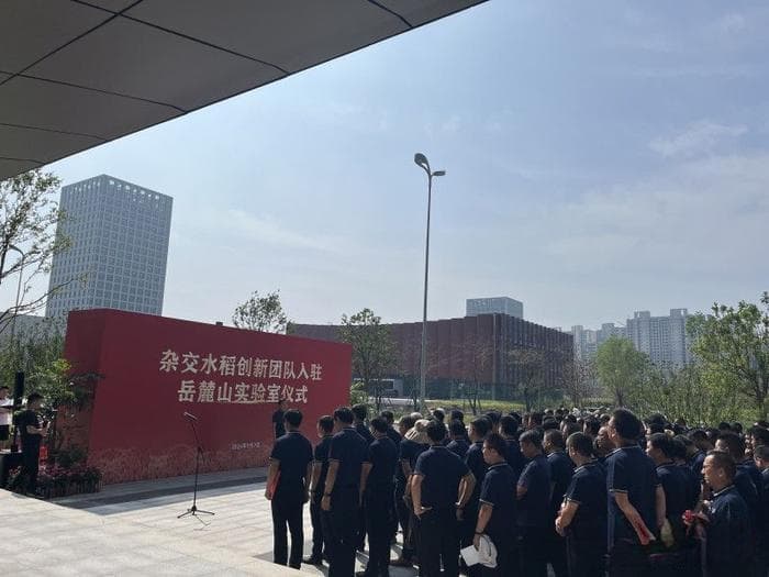 岳麓山实验室迎来首个团队入驻，为袁隆平杂交水稻创新团队