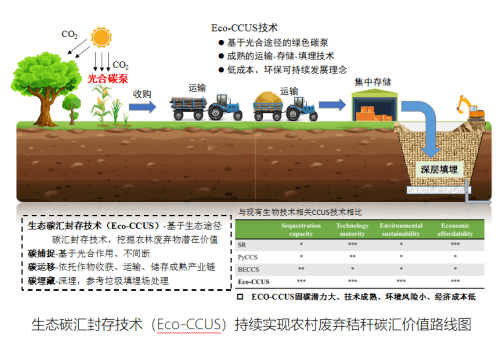 发展生态碳汇封存技术 提升植物秸秆的巨大碳汇价值