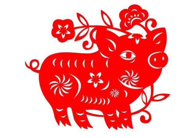 2024年生肖运势详解，十二生肖总体运势解析