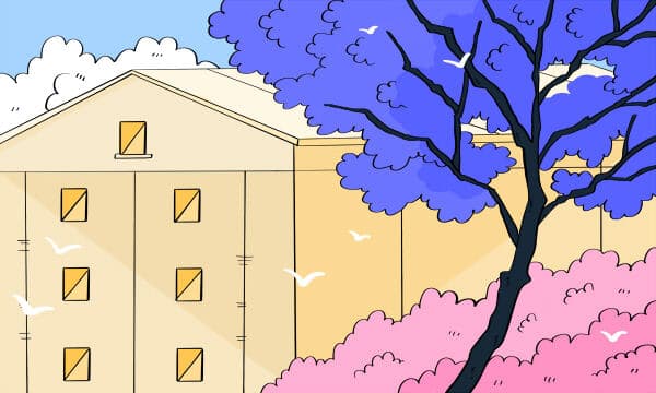 高考报名号忘记了到哪能查到 怎么查询