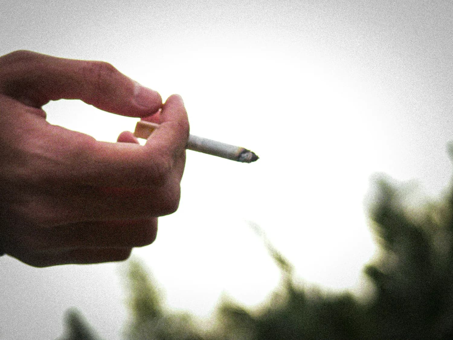 郑刚教授揭秘：吸烟对心血管的致命危害