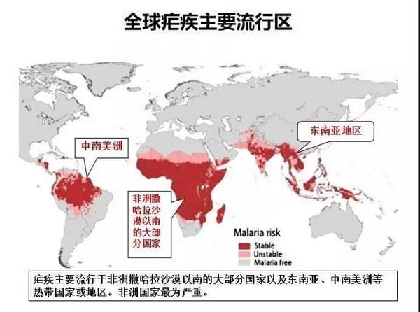 出国必看 疟疾防护攻略
