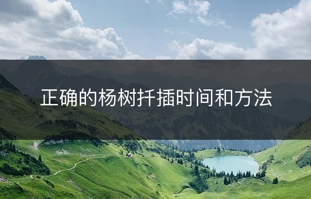 正确的杨树扦插时间和方法